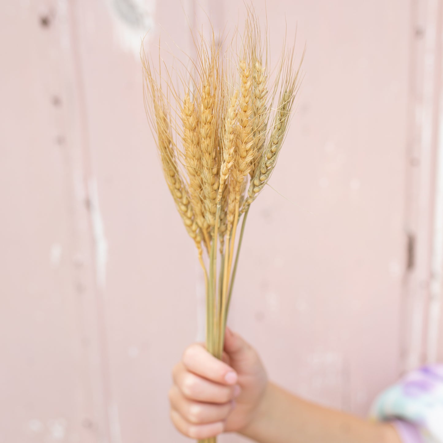 Muscle Creek Creative® Wheat Posey